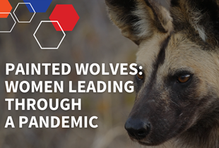 Painted Wolves: Women Leading Through a Pandemic